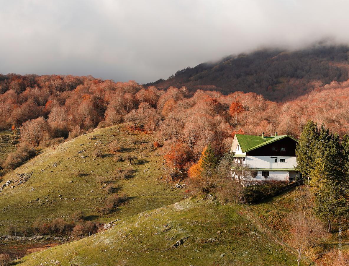 Hotel Valle Del Lupo เปสกัสเซโรลี ภายนอก รูปภาพ